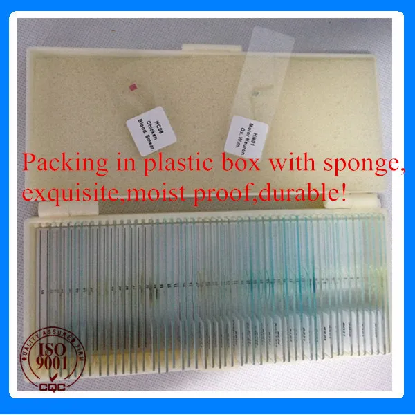 Прямая поставка с фабрики зоологии Гистология горки набор 100 шт | Канцтовары для