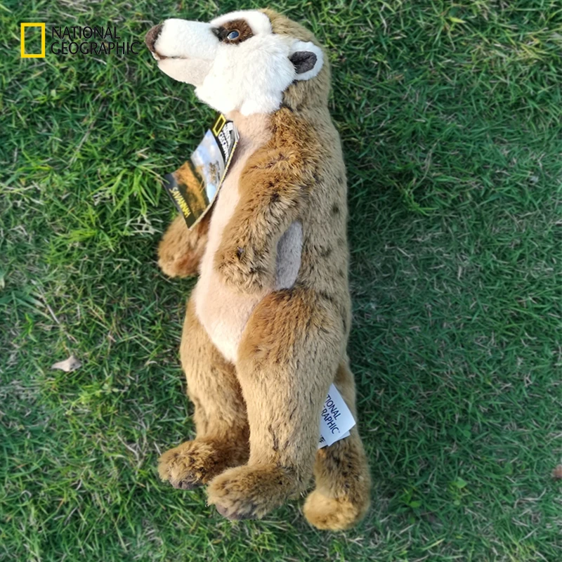 Мягкая Плюшевая Кукла Suricata suricatta 13 дюймов|Мягкие игрушки животные| |