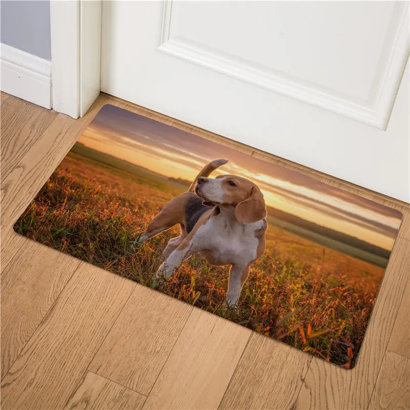 1 Beagle Dog Miguel Hound домашний декоративный Придверный коврик, стелька для кухни, ковер для дома, для улицы, добро пожаловать, для ванной комнаты, Нескользящие коврики, Пончик 75 см - Цвет: 1
