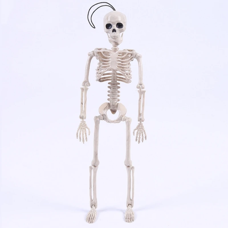 

Halloween Novelty Cool Skeleton Mister Bride Human Model Scary Skull Body Figure Toy Funny Party Decor