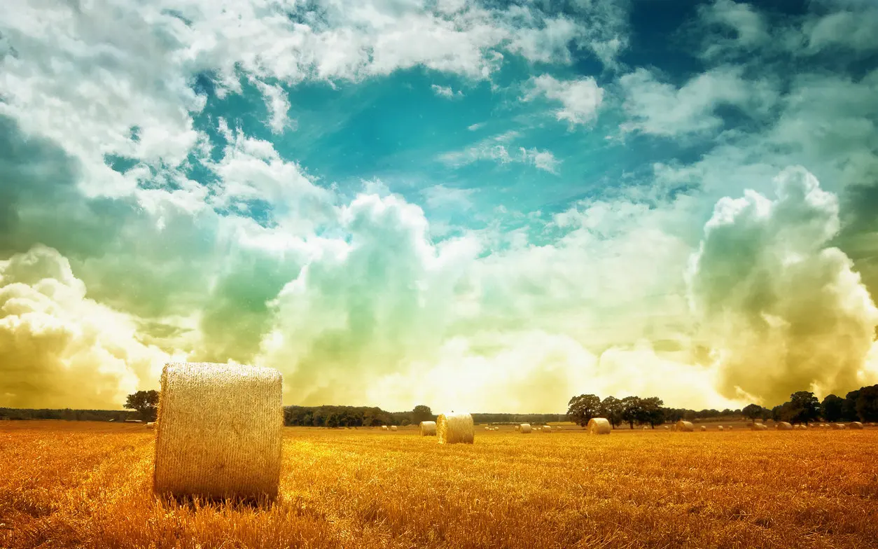 

haystack blue sky with clouds backdrops High quality Computer print wall backgrounds