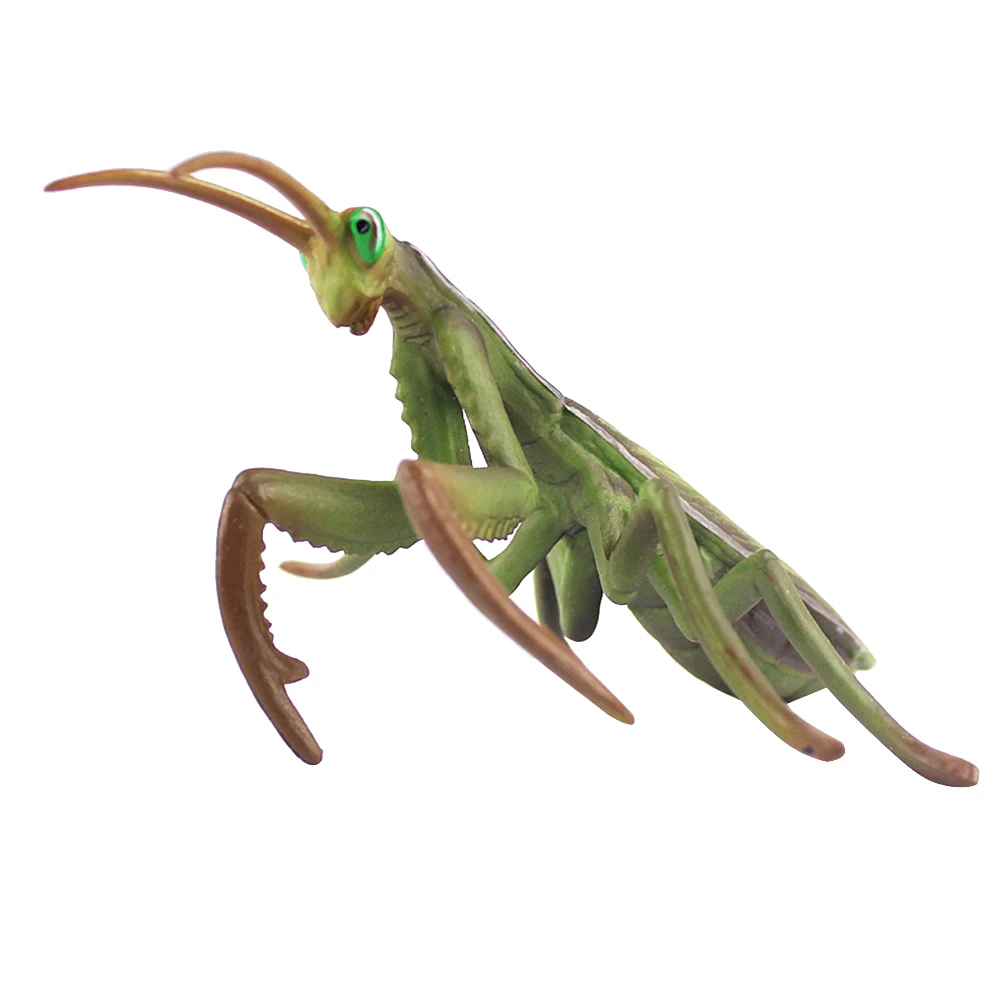 1 шт. фигурка Mantis модель насекомого, реалистичное ремесло, подарок, украшения, коллекция игрушек, украшение для дома, офиса, рабочего стола