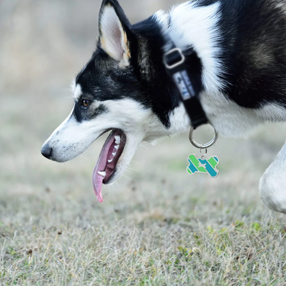 Собака ID Tag пользовательские металлические Pet бирки из нержавеющей стали Маленький собачий ошейник большого размера аксессуары персонализированные Имя тег пластина с колокольчиком