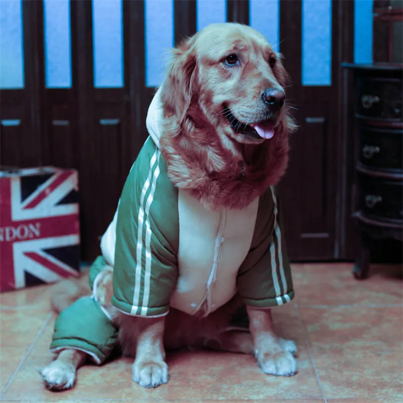 2020 зимняя куртка для собак золотистый ретривер Хаски Лабрадор Собаки Одежда
