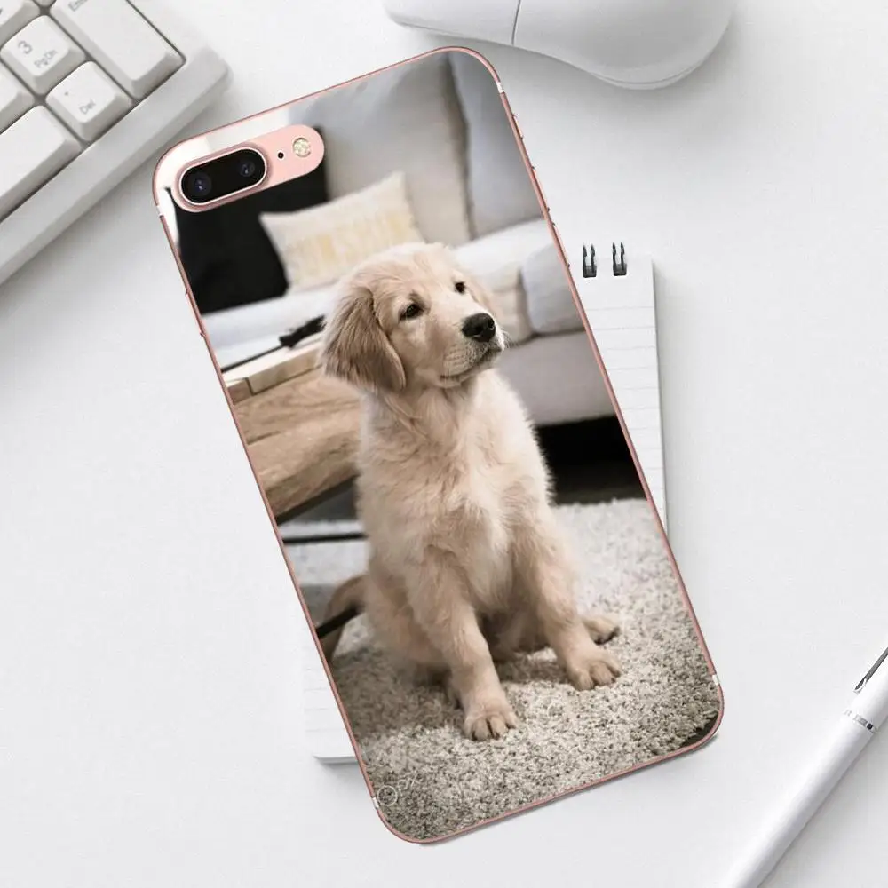 Тонкая кожа Qdowpz для Galaxy Alpha Core Prime Note 4 5 8 S3 S4 S5 S6 S7 S8 S9 mini edge Plus золотистый ретривер |