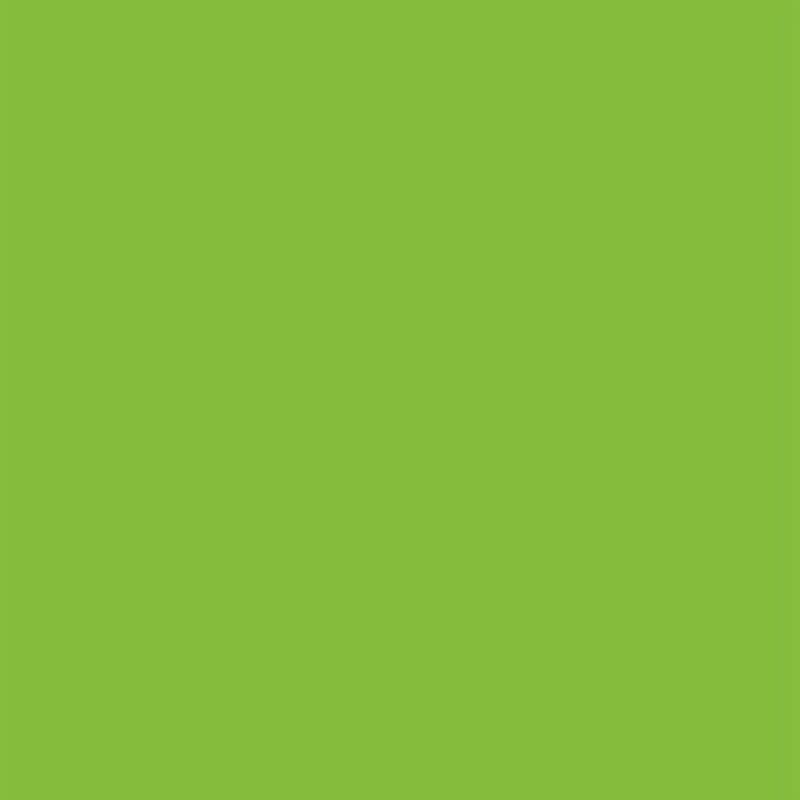 Green(4mm) 4/6 мм TPE нескользящий Эластичный Коврик для йоги для начинающих экологический коврик для фитнеса и пилатеса 8 цветов коврик для тренажерного зала - Цвет: Green(4mm)