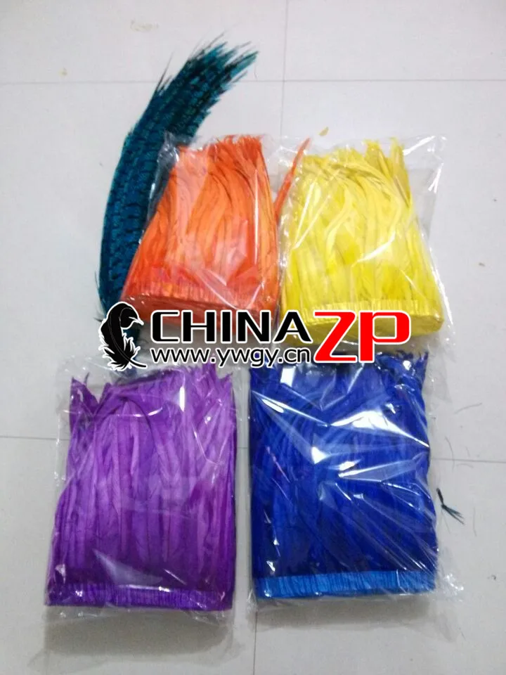 CHINAZP карнавальные костюмы Samba аксессуары 14~ 16 дюймов окрашенные с перьями из хвоста петуха длинные Зебра фазан бесплатно Экспресс способ - Цвет: Picture showing