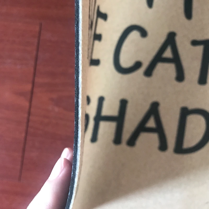 Коврик для входной двери-раньше-Остерегайтесь собаки кошка тоже затеняет