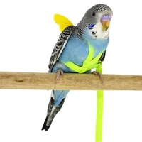 pet parrots bird traction rope harness leash straps for outdoor training flying tb sale