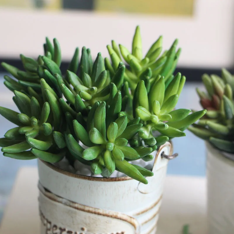 2 шт./компл. Искусственные суккуленты Мини Осьминог коготь растения Трава пустыня