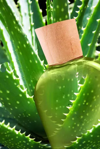 

NEW 100% PURE ORGANIC ALOE VERA GEL/LIQUID 8oz 240ml FREE SHIPPING