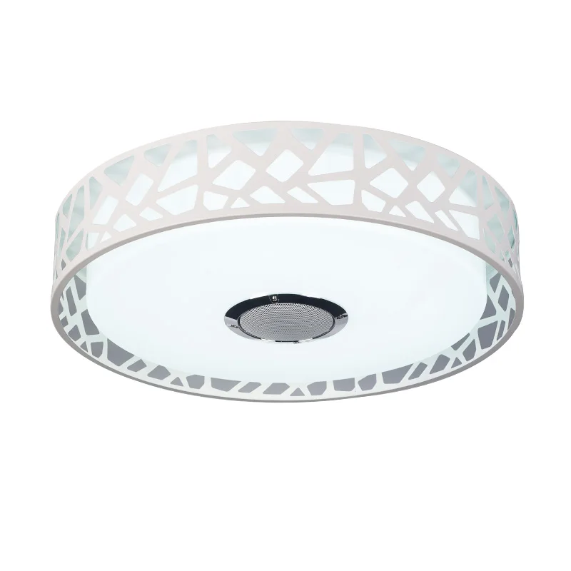 

LED bedroom lights living room music lights AC110-220V47cm36W variable light smart APP Bluetooth remote control function