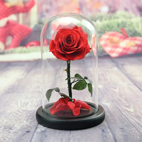 red Мелдель 15*22 см, консервированные цветы, подарок, высокое качество, вечная роза в стеклянном куполе, подарок на свадьбу, день рождения, вечерние украшения для дома, Флорес - Цвет: red