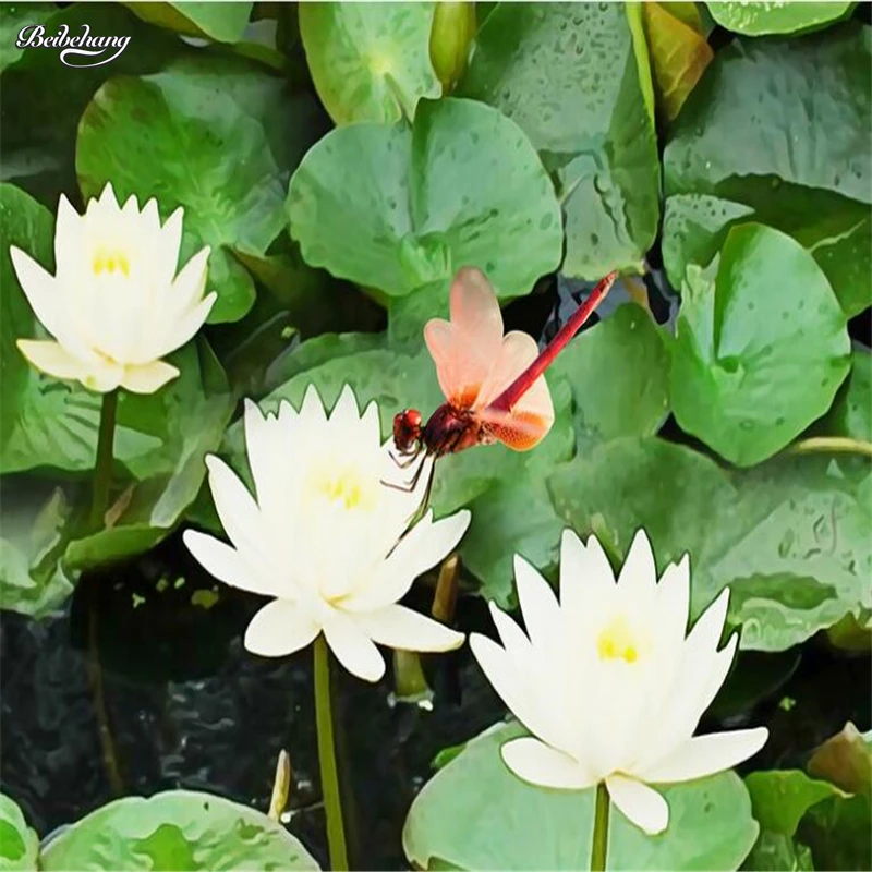 Пользовательские большой Фреска Боярышник водяная Лилия 3D картина утолщение