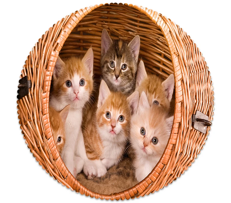 3D животное скатерть с рисунком маленькая белая кошка Пылезащитная Моющаяся Ткань утолщенная хлопковая прямоугольная и круглая скатерть