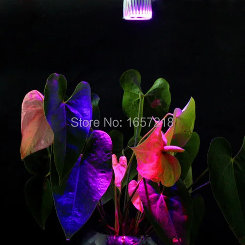 10W E27 5x2w 3Red + 2Blue LED фитолампа для цветущих растений и системы гидропоники 1 шт./лот