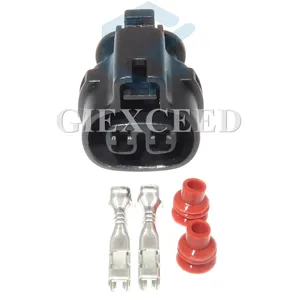 2 комплекта 2 Pin MG640795-5 Автомобильный Очиститель спрей штекер двигателя авто Waterptoof разъем для автомобилей