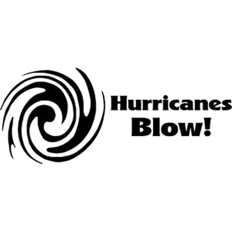 

20x8,2 см Оригинальная виниловая наклейка «ураганы BLOW», автомобильная наклейка, черный/серебристый цвет