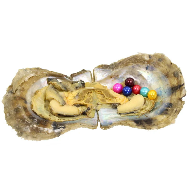 Mix 28 Colors AAA Round Pearls 6pcs Pearls in Akoya Oyster Mega Monster Saltwater Oyster Random Mini Monster Vacuum PackedABH827