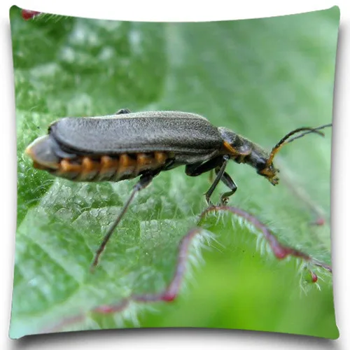 Декоративный чехол с изображением животных черного муравья пчелы |