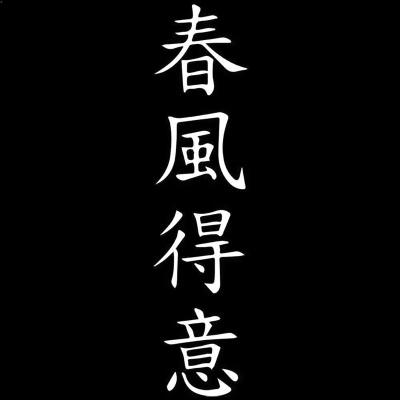 3 см х один успешно получен и хорошо удовлетворен виниловыми автомобильными