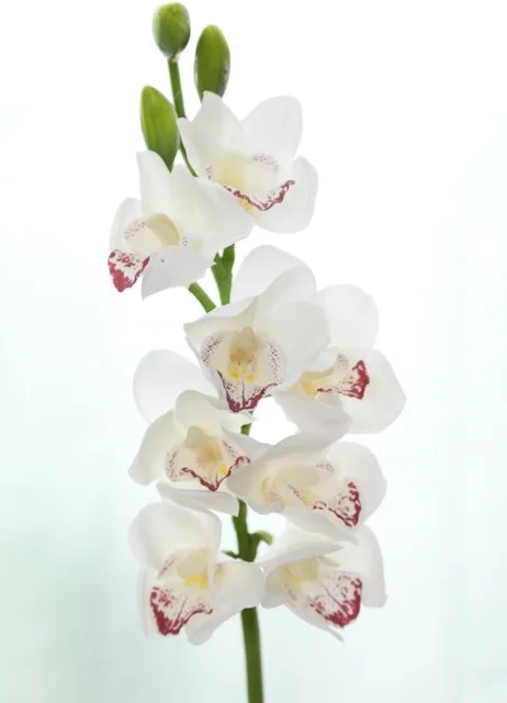 A 3D печать Cymbidium Орхидея латексный настоящий сенсорный цветок искусственные цветы для дома Свадебные Декоративные искусственные цветы искусственные - Цвет: A