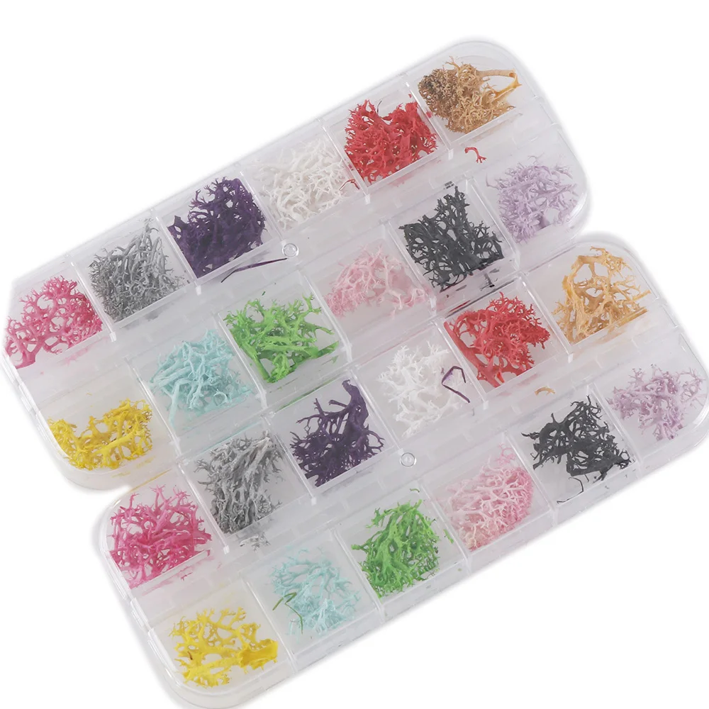 

1 Box 24Pcs Nail Coral Dried Flowers Nail Art Decoration DIY Tips Small Flowers Nails Stickers For Manicure Tools