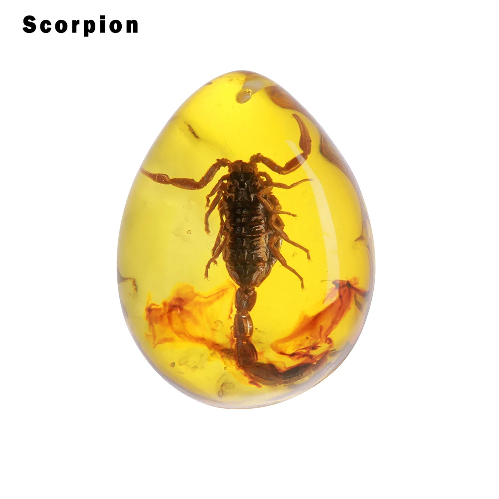 scorpion 1 шт. модные оригинальные украшения скорпионы бабочка пчела Краб натуральные насекомые Янтарный каменный орнамент DIY ремесла кулон подарок - Цвет: scorpion