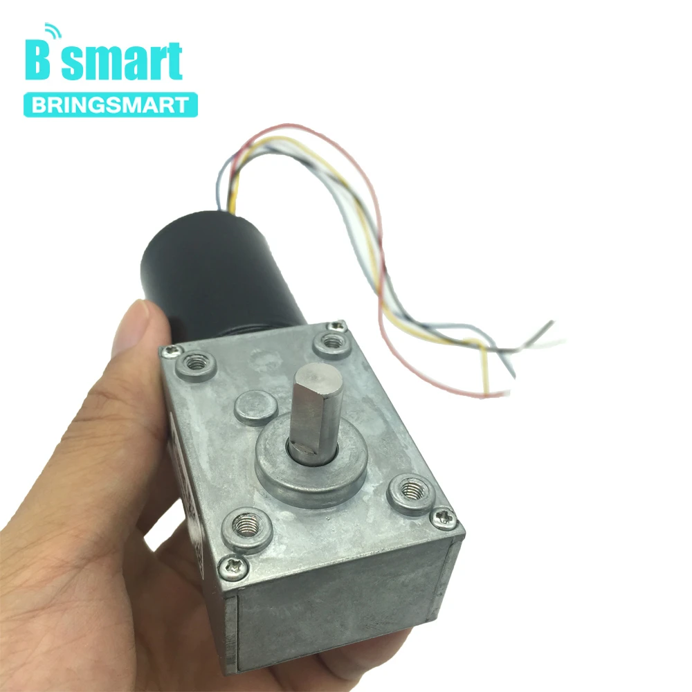 Бесщеточный червячный редуктор постоянного тока Bringsmart 5840 3650 реверсивный