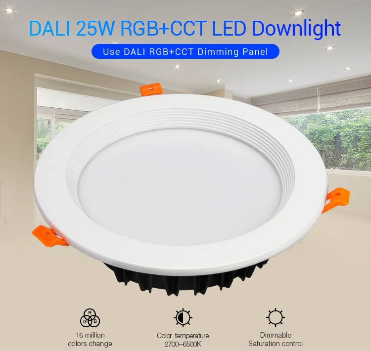 DL5 DP1 DP2 DP3 DALI RGB+CCT brightness color temperature dimming panel DALI Bus Power Supply 5 IN 1 LED Strip Controller
