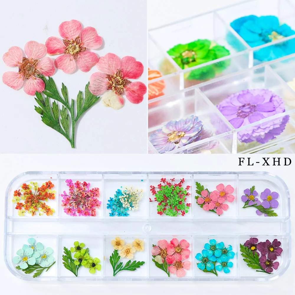 12 цветов дизайн ногтей природа сухие цветы набор гель лак наконечник 3D DIY Цветочные кусочки наклейка Pro Маникюр Педикюр Декор новейший комплект SAFL/F - Цвет: FL-XHD