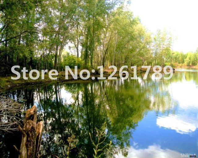 Набор для вышивки крестиком 14 карат вышивка французским DMC без рисунка картина