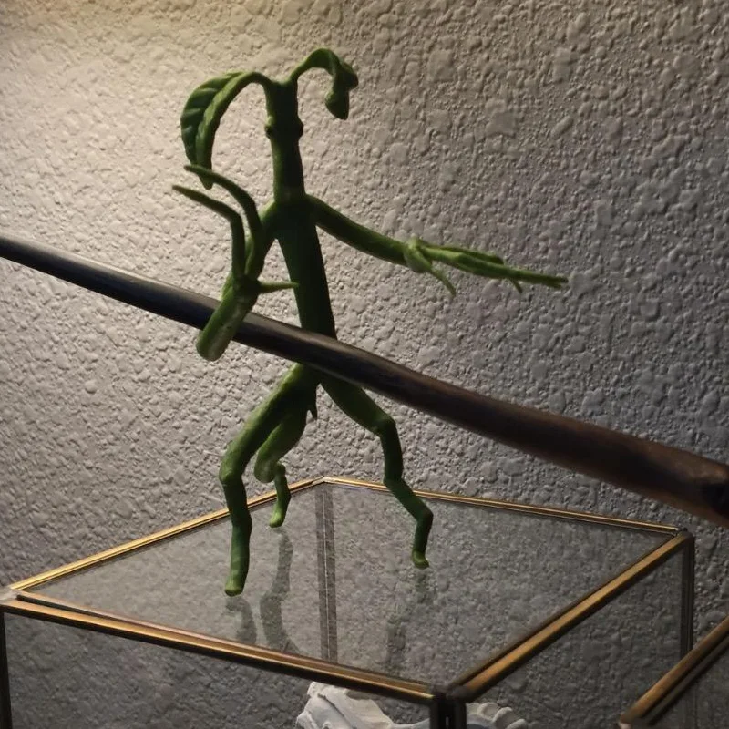 Фантастические звери 2 и где их найти: Гибкая игрушка для ловли лодок Hp|Игровые