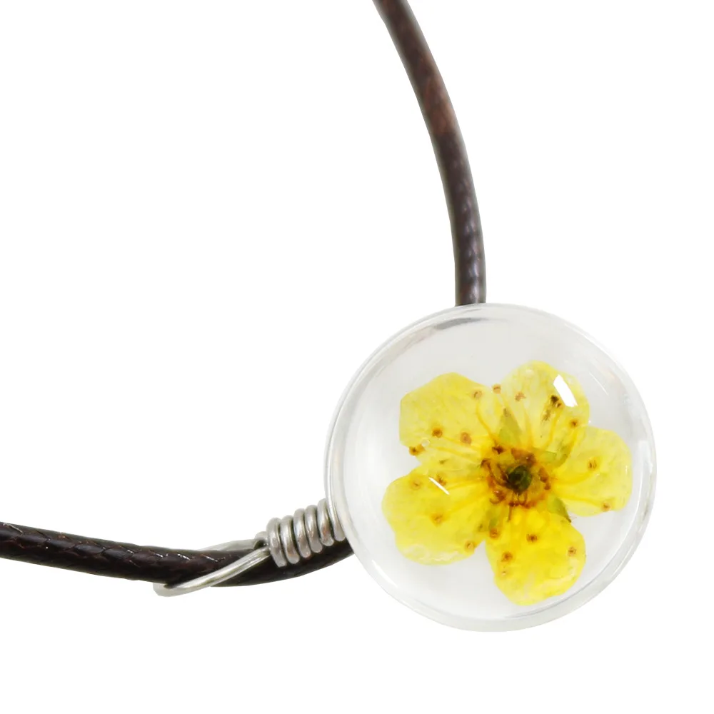 Многоцветный простой Террариум хрустальный стеклянный шар кулон с высушенным