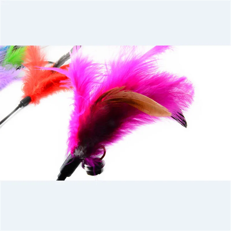 Фазан волосы играть палочки для кошек красочные игрушки домашних животных