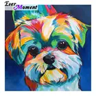 Алмазная живопись с собакой Ever Instant, картины 5d стразы, алмазная живопись, полноразмерная картина с собакой и каллиграфия, ASF694