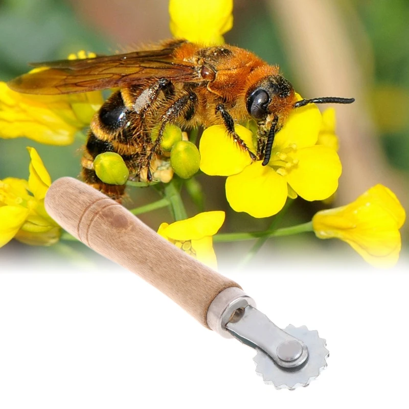 Пчеловодство Embedder колесо зубчатая шестерня проволока из нержавеющей стали улей