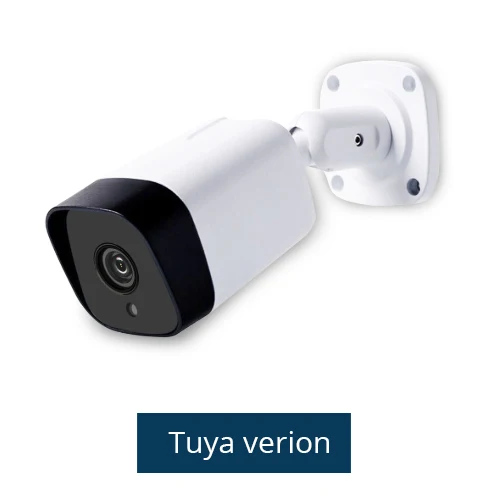 Tuya version WiFi беспроводная уличная камера, совместимая с Alexa Echo Show, умный дом, камера безопасности, водонепроницаемая - Цвет: Tuya version