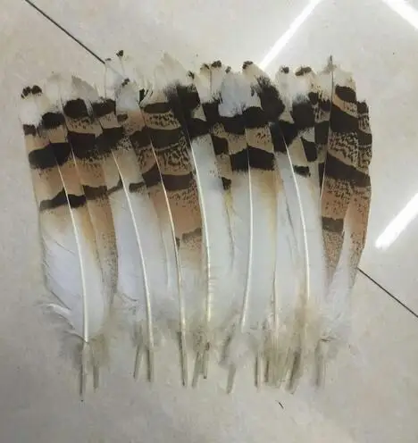Hot! 10pcs Natural eagle feathers15-20cm pheasant feathers for indian feather headdress/jewelry making accessory | Дом и сад