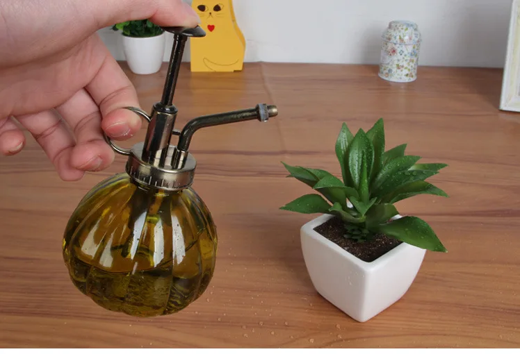 Винтажный распылитель для растений декоративная кастрюля полива суккулентов