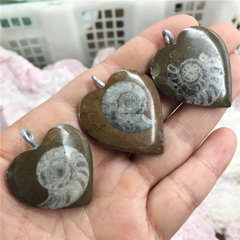 1 шт. подвеска в виде сердца из природного аммония ожерелье окаменелого образца