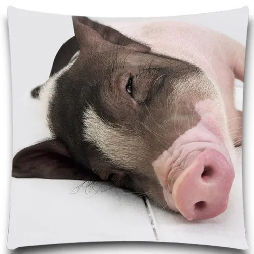 Animals pig Square 45*45 cm creative pillow case office Wedding bedding couch Vintage home decorative 5 size 9 style | Дом и сад