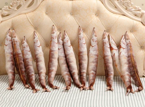 Plush toy 50cm food plush simulation saury pillow creative trace fleet flock mother salted fish PP Cotton | Игрушки и хобби