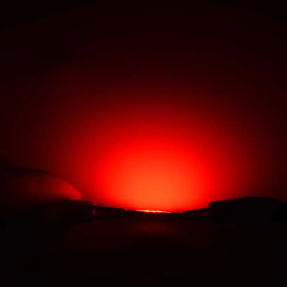 4 шт./упак. 10 Вт красный белый теплый высокой Мощность Epistar Whip Wamp чипсы DIY