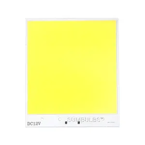 Супер яркий COB светодиодный светильник лампа Flip Chip 300 Вт светодиодный матрисветильник источник света 6500 к холодный белый DIY открытый внутренний светильник s