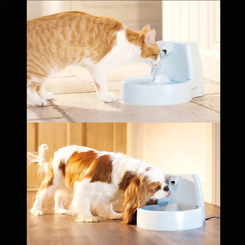 9 шт./упаковка фильтр для питьевой воды собак|Кормление собаки| |