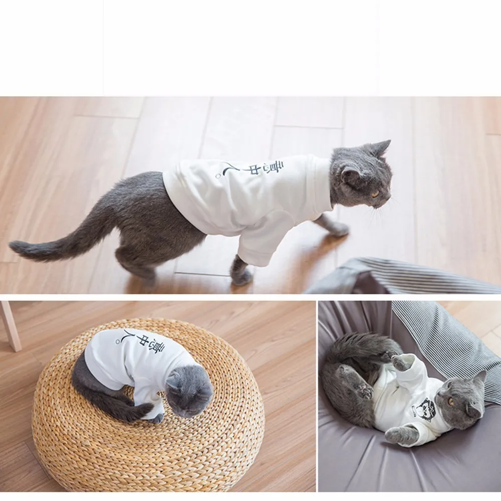 Домашние животные Любители Cat Одежда Новая модель осень и зима личность