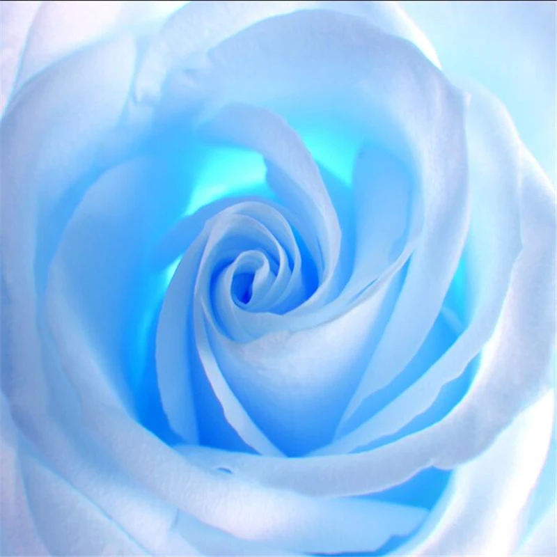 wellyu Custom wallpaper 3d обои large three-dimensional photo mural dream blue roses zenith fresco papel de parede | Обустройство