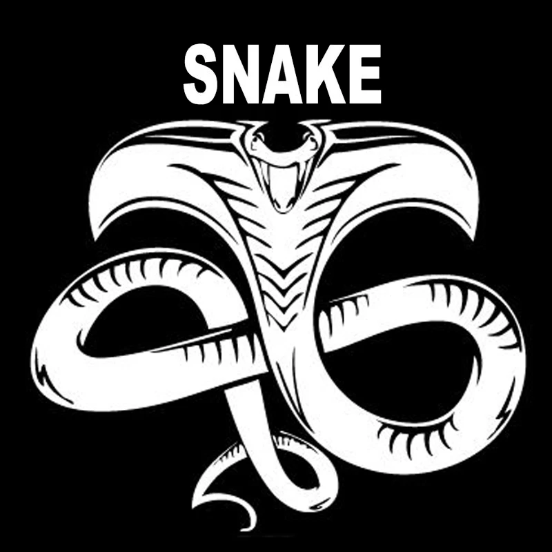 

14.3cm*14.1cm Snake Fashion Decor Animal Car Sticker Car-Styling S4-0501