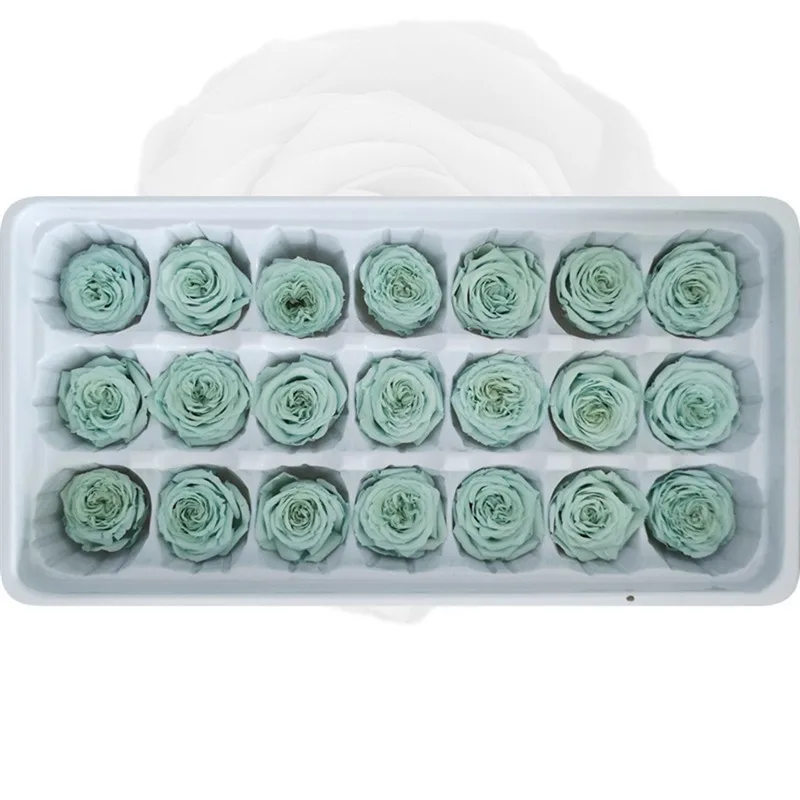 8/21 шт/коробка &quotЗаконсервированные&quot Цветы бессмертный розового красного